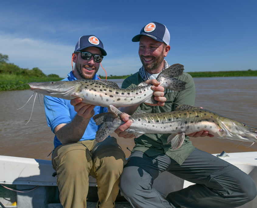 surubi-catfish-argentina