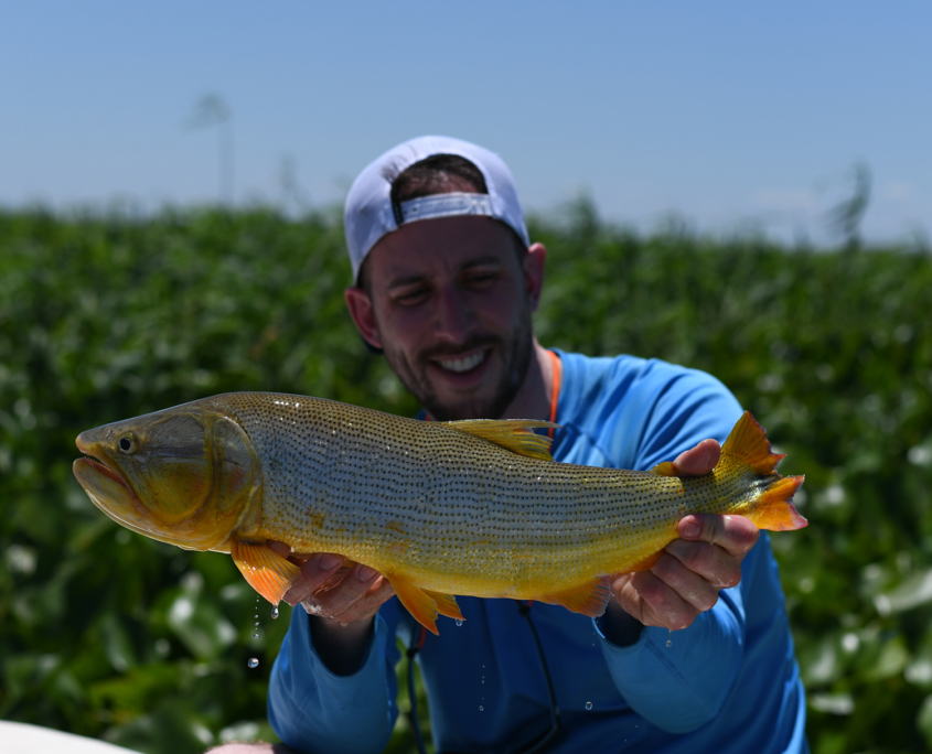 dorado-fly-fishing-lodge