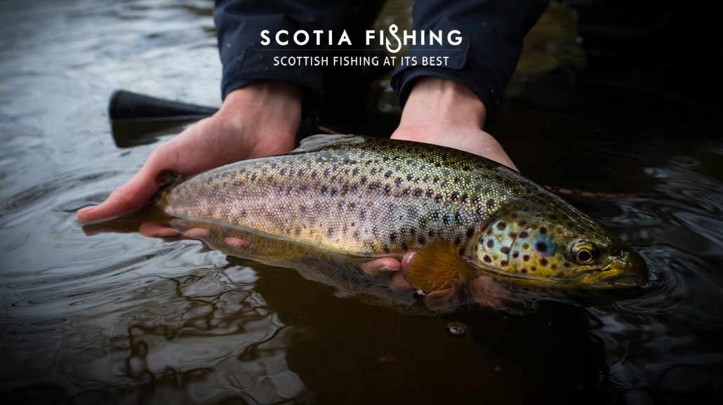 trout-fishing-near-edinburgh
