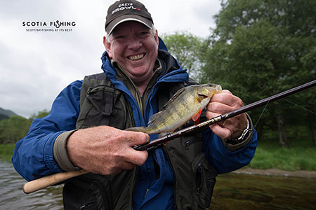 perch-fishing-in-scotland