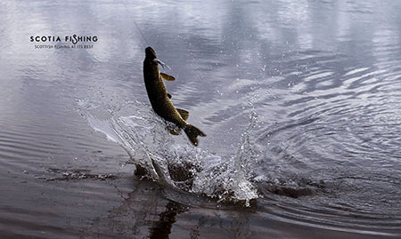 pike-fly-fishing-in-scotland