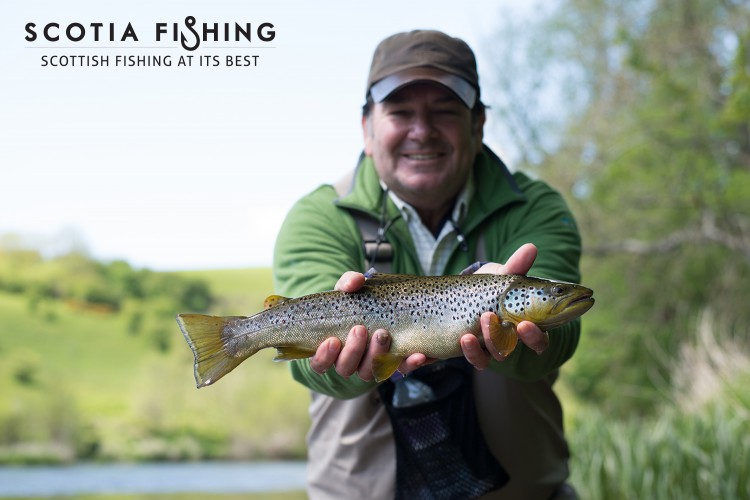 Our 2015 Season So Far – Late Summer Update!