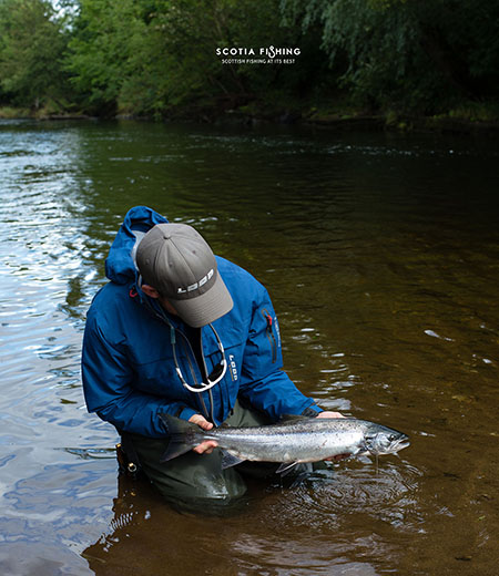 atlantic-salmon-scotland