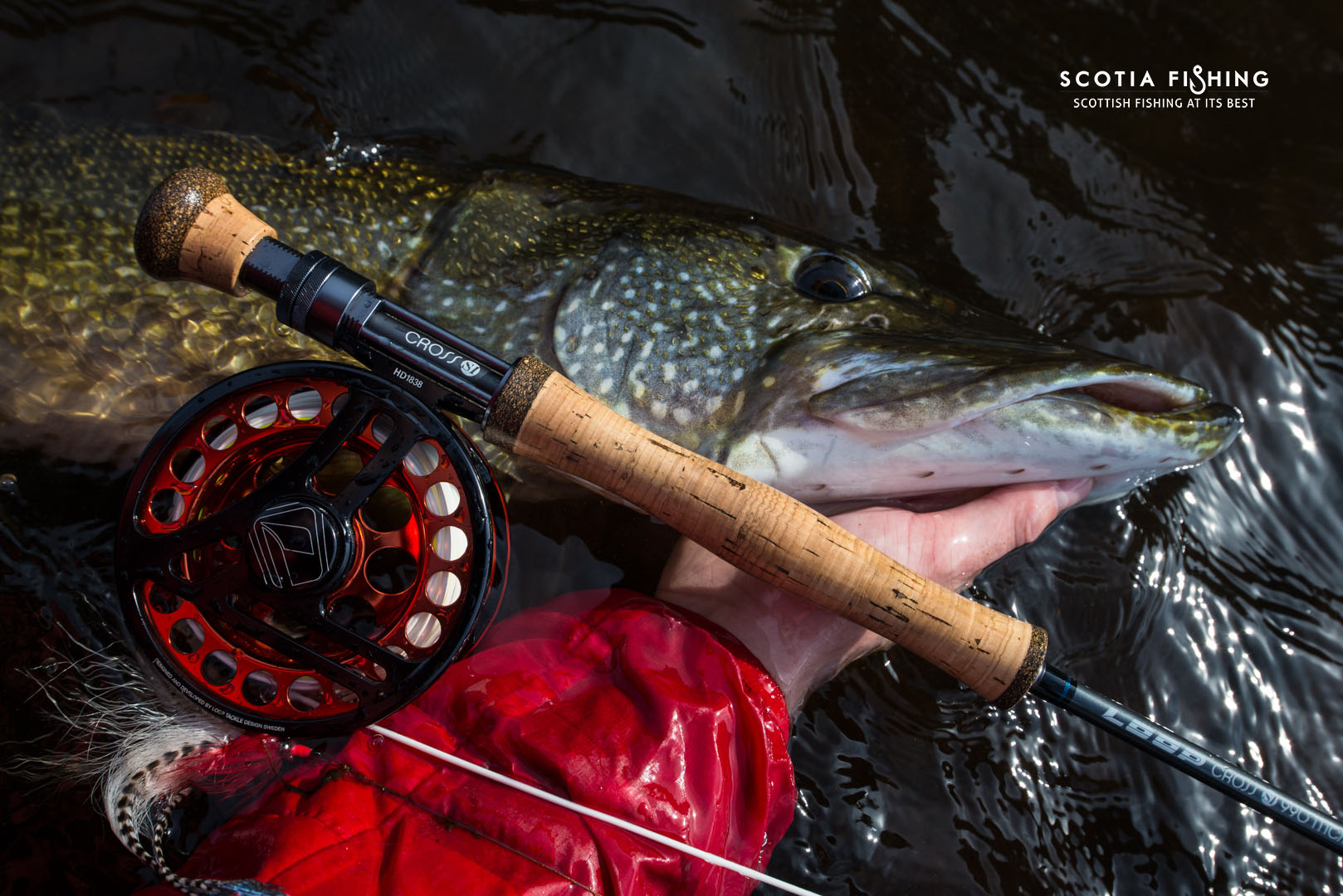 Fly Fishing in Stirling with Professional Fishing Guides