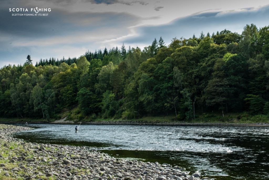 newtyle-september