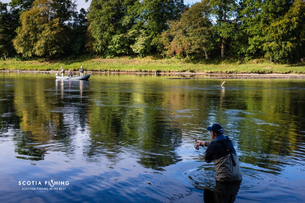 salmon-fishing-river-tay