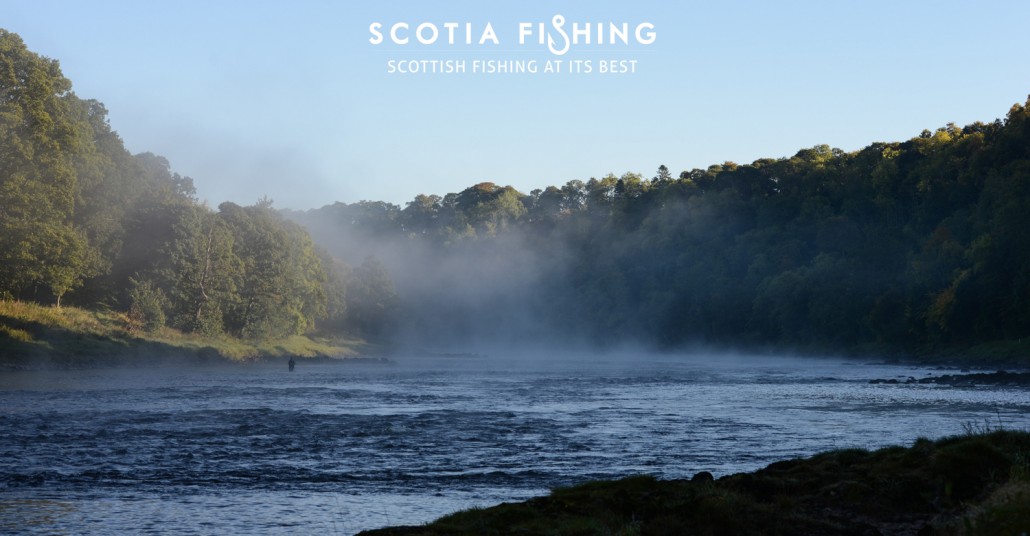 salmon-fishing-on-river-tay