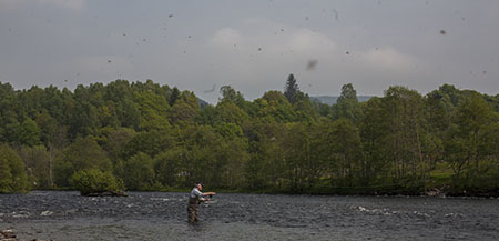 fishing-in-scotland-231