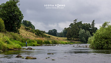 grayling-fishing--in-scotland-with-guide