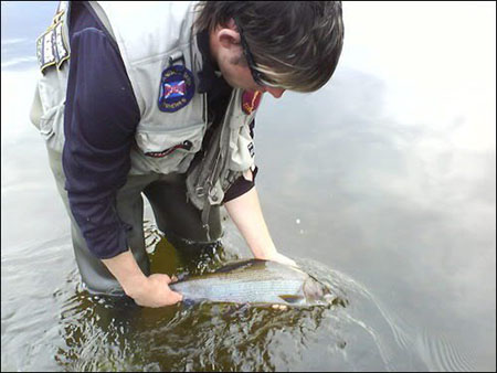 grayling-fishing-scotland