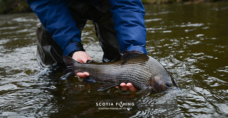 fishing-in-march-scotland-2015