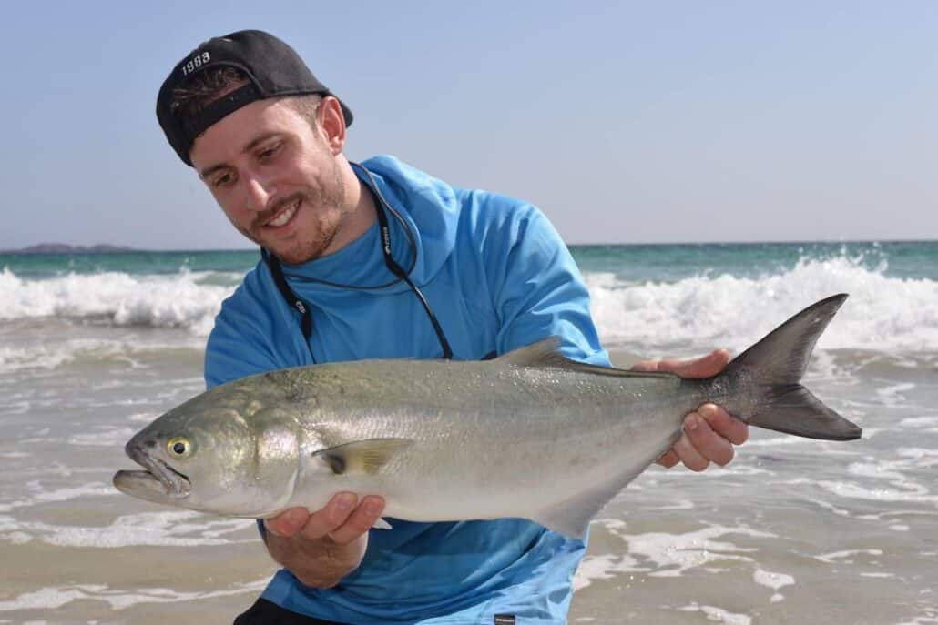 bluefish-oman
