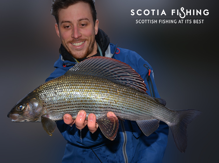 grayling-fishing-in-scotland-uk