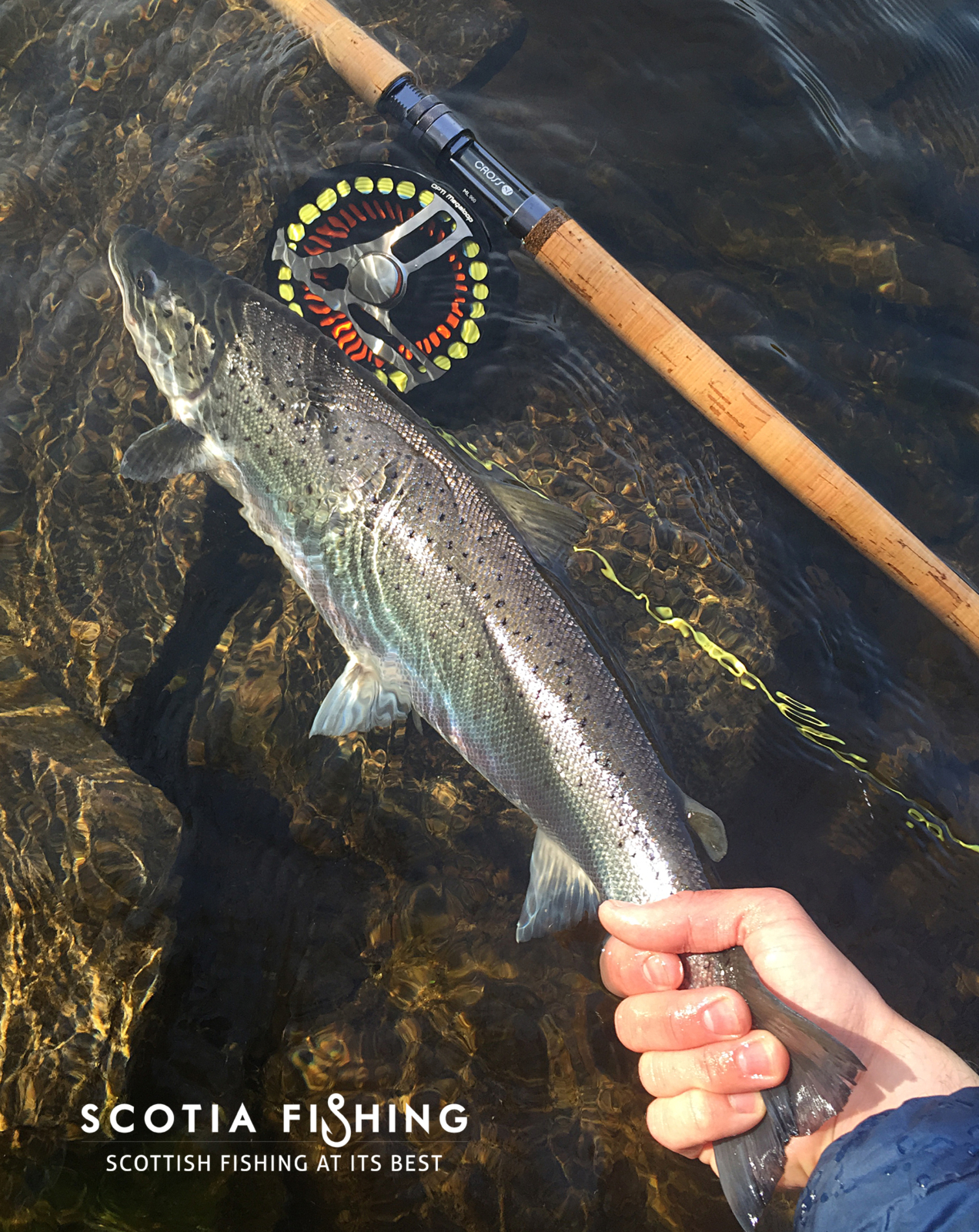 salmon-fishing-trips-near-loch-lomond-cameron-house