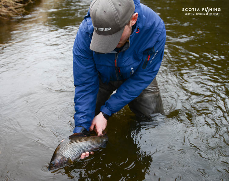 The Latest Goings on at Scotia Fishing!