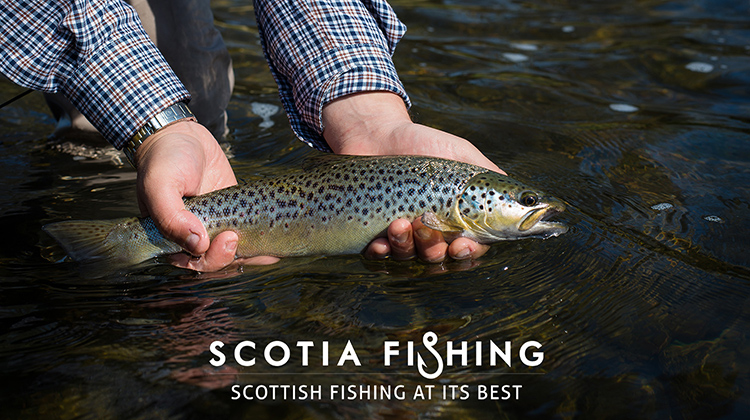 tweed-trout-fishing-narch-april-scotland-2015